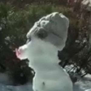 Meet your Posher, Melanie